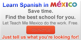 Teach Me Mexico Helps You Find Your Perfect Spanish School