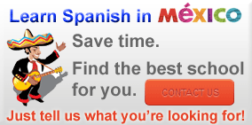 Teach Me Mexico Helps You Find Your Perfect Spanish School in San Cristobal de las Casas