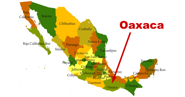 Image result for oaxaca mexico