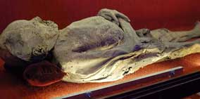 Specimen at the Mummy Museum in Guanajuato