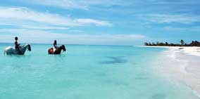 Ride Horses on the Beach